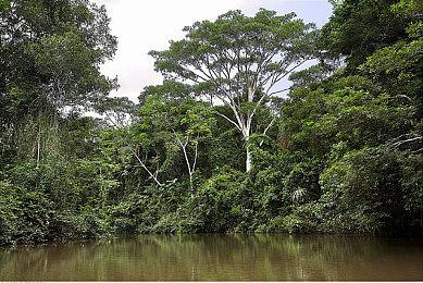 3年又3年 Gearbox再次确认《战火兄弟连》新作正在开发中